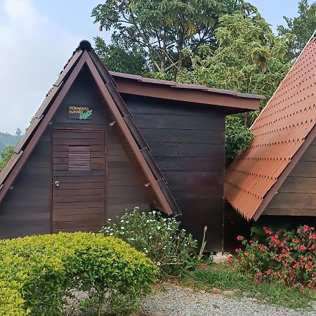Hotel Casa Tucan Glamping Turrialba Exterior foto
